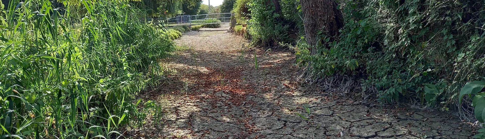 Bienvenue sur le site officiel du Syndicat du Bassin Versant des 4 Rivières (28) Eure-et-Loir